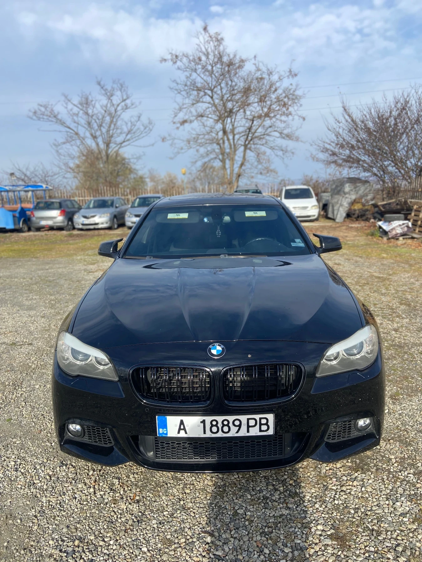 BMW 528 3.0 N52B30 М-пакет/LPG - изображение 7