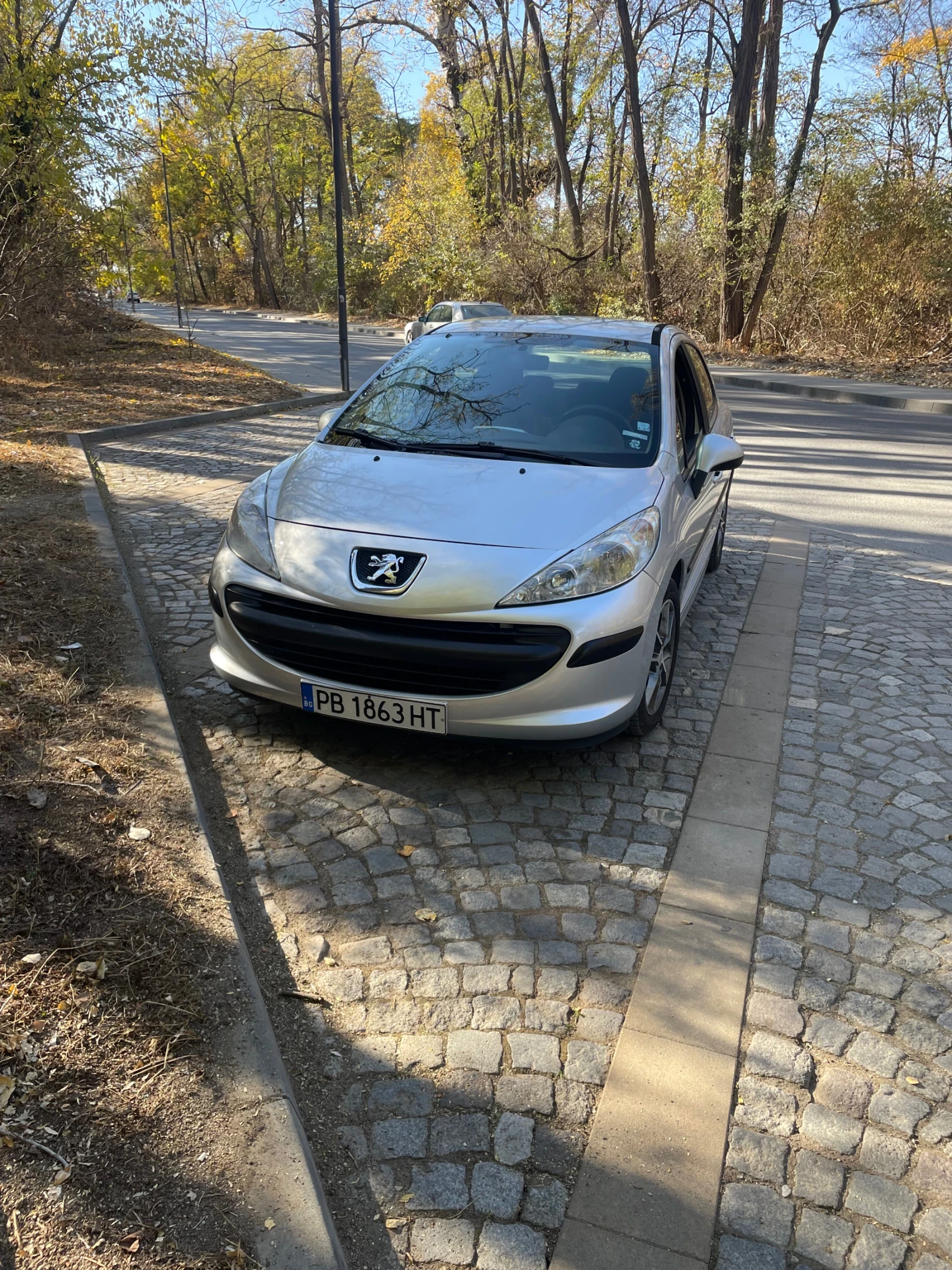 Peugeot 207  - изображение 2