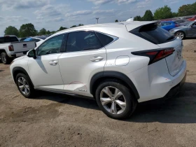 Lexus NX 300h undefined | Auto.bg — изображение 2