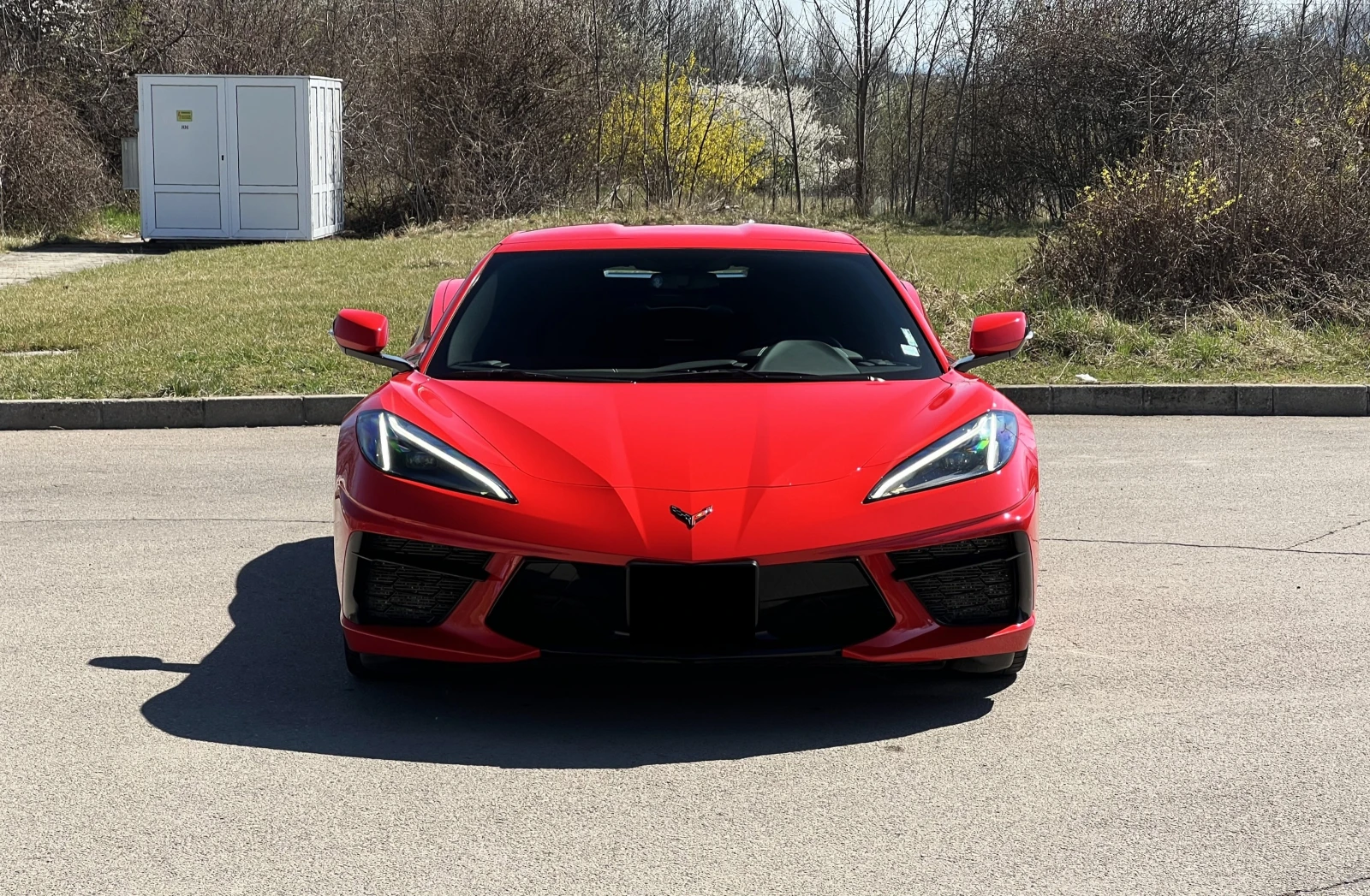 Chevrolet Corvette C8 6.2L V8/STINGRAY/CONVERTIBLE/BOSE/LED/CAMERA/  - изображение 2
