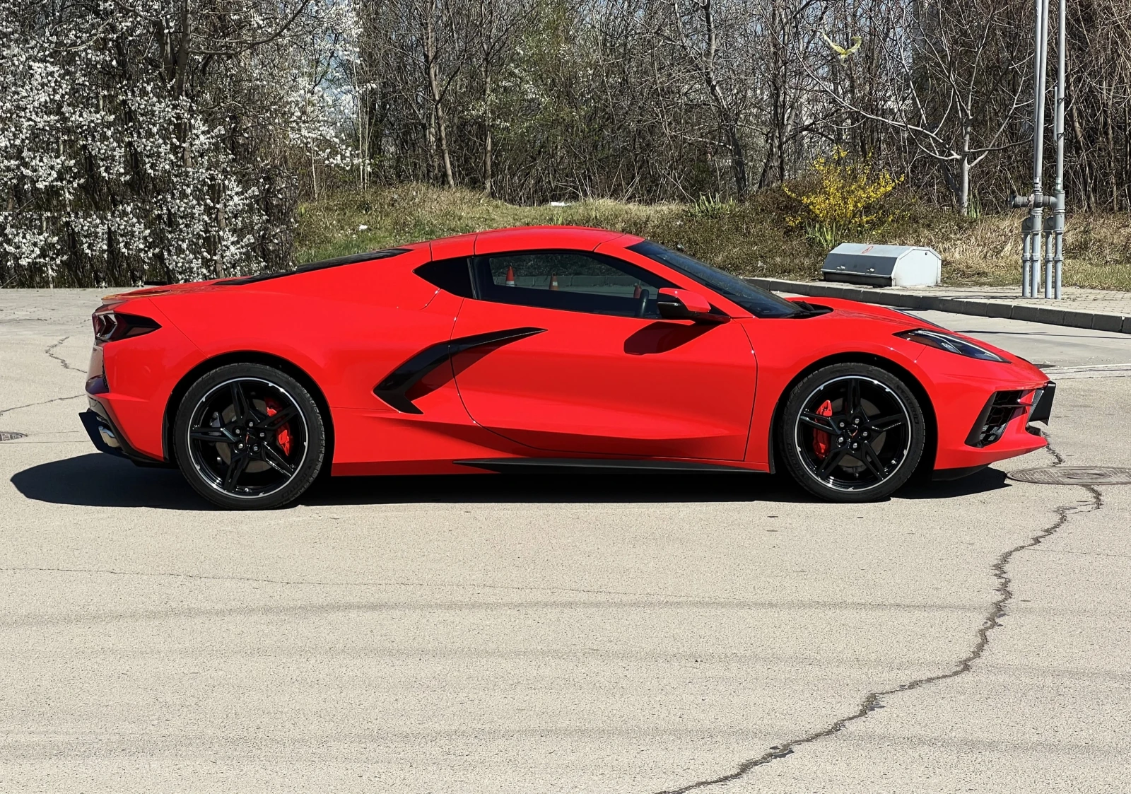 Chevrolet Corvette C8 6.2L V8/STINGRAY/CONVERTIBLE/BOSE/LED/CAMERA/  - изображение 7