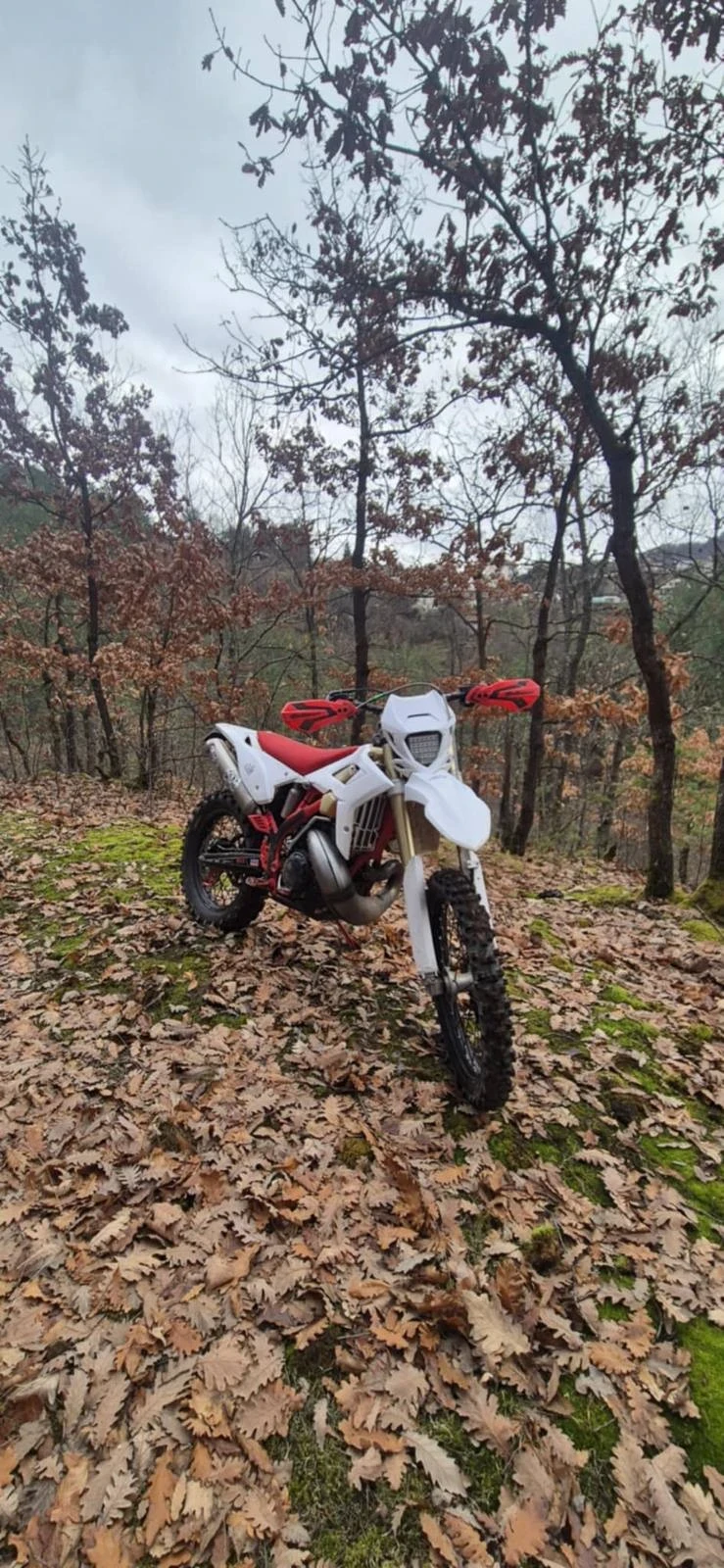 Beta Rr 300