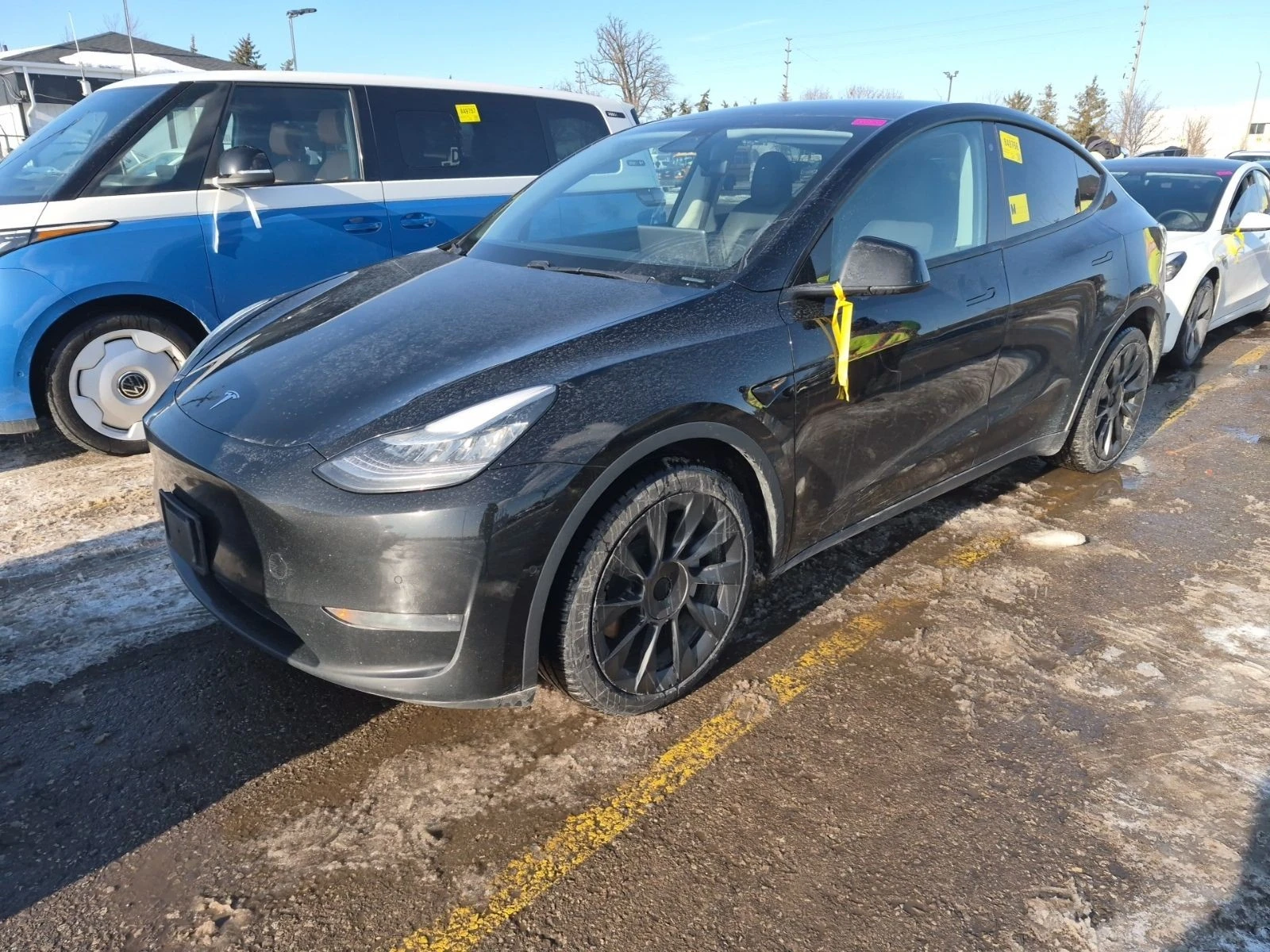 Tesla Model Y  � ����������� & ���� ������ LONG RANGE  | Mobile.bg � ����������� 1