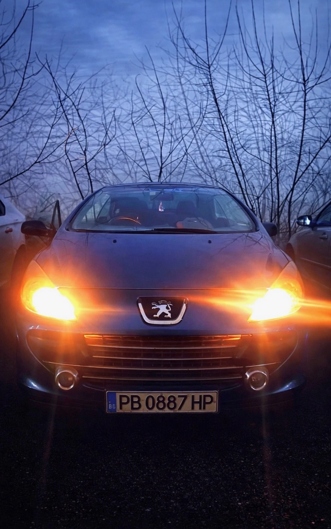 Peugeot 307