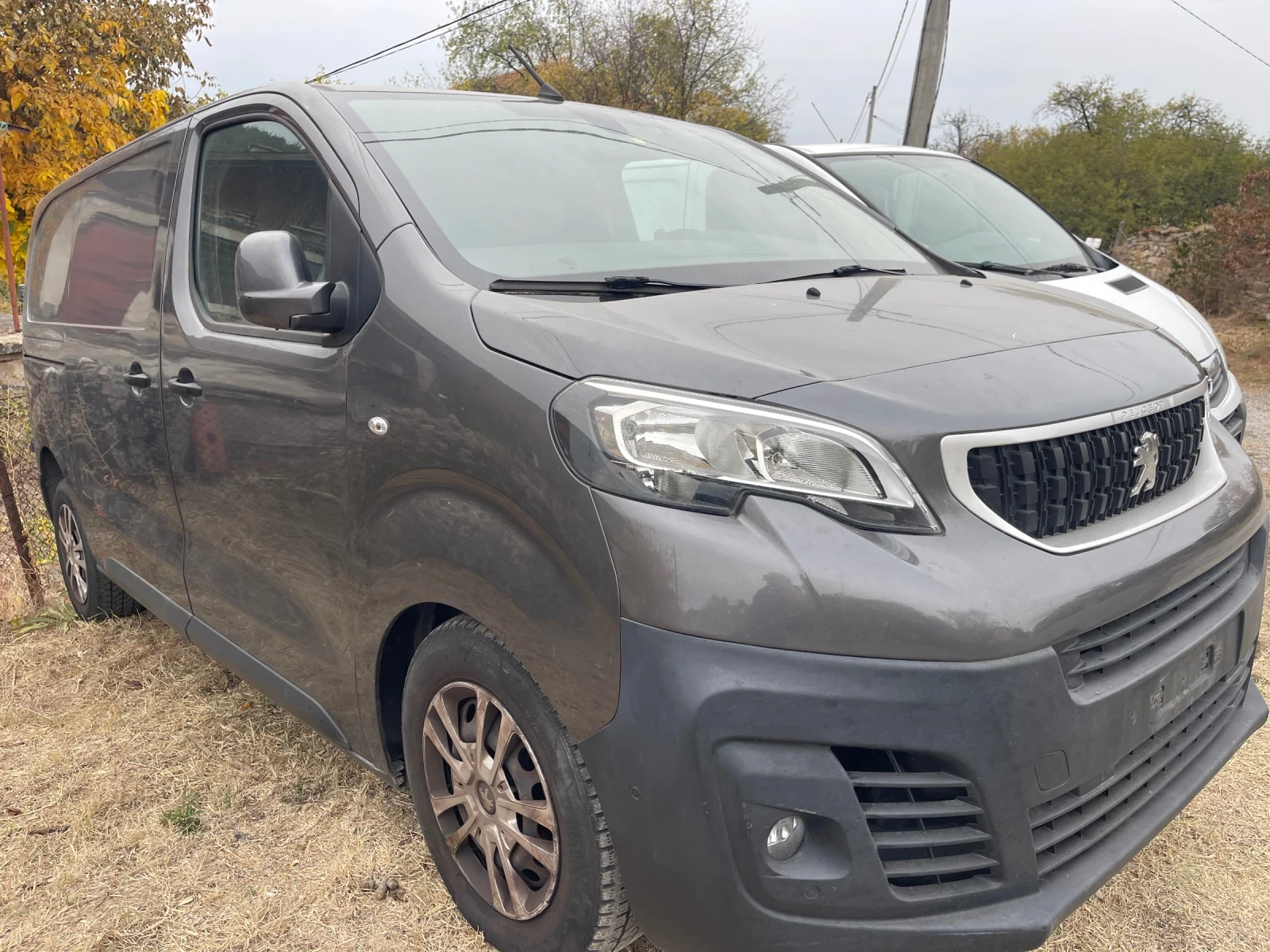 Peugeot Expert 2.0HDi/автоматик, снимка 6 - Бусове и автобуси - 56470154