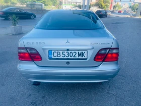 Mercedes-Benz CLK 200 Kompressor 190к.с АГУ АВТОМАТ  | Auto.bg — изображение 4