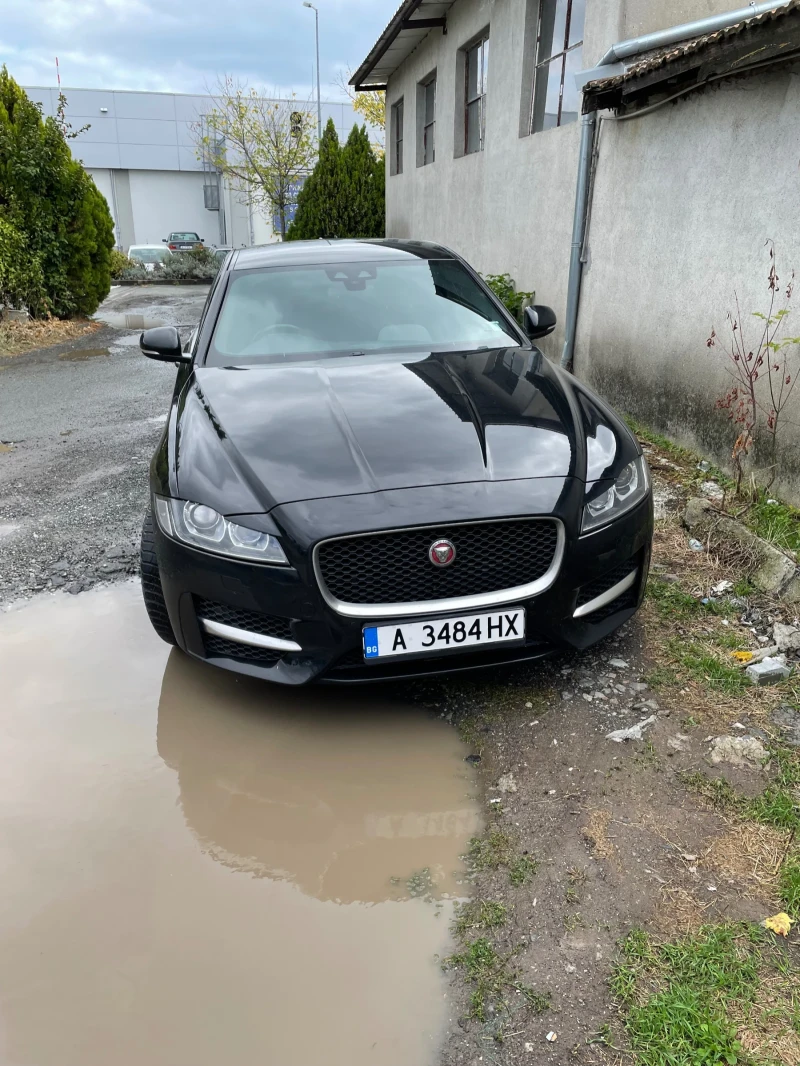 Jaguar Xf