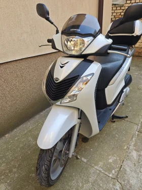  Honda Sh