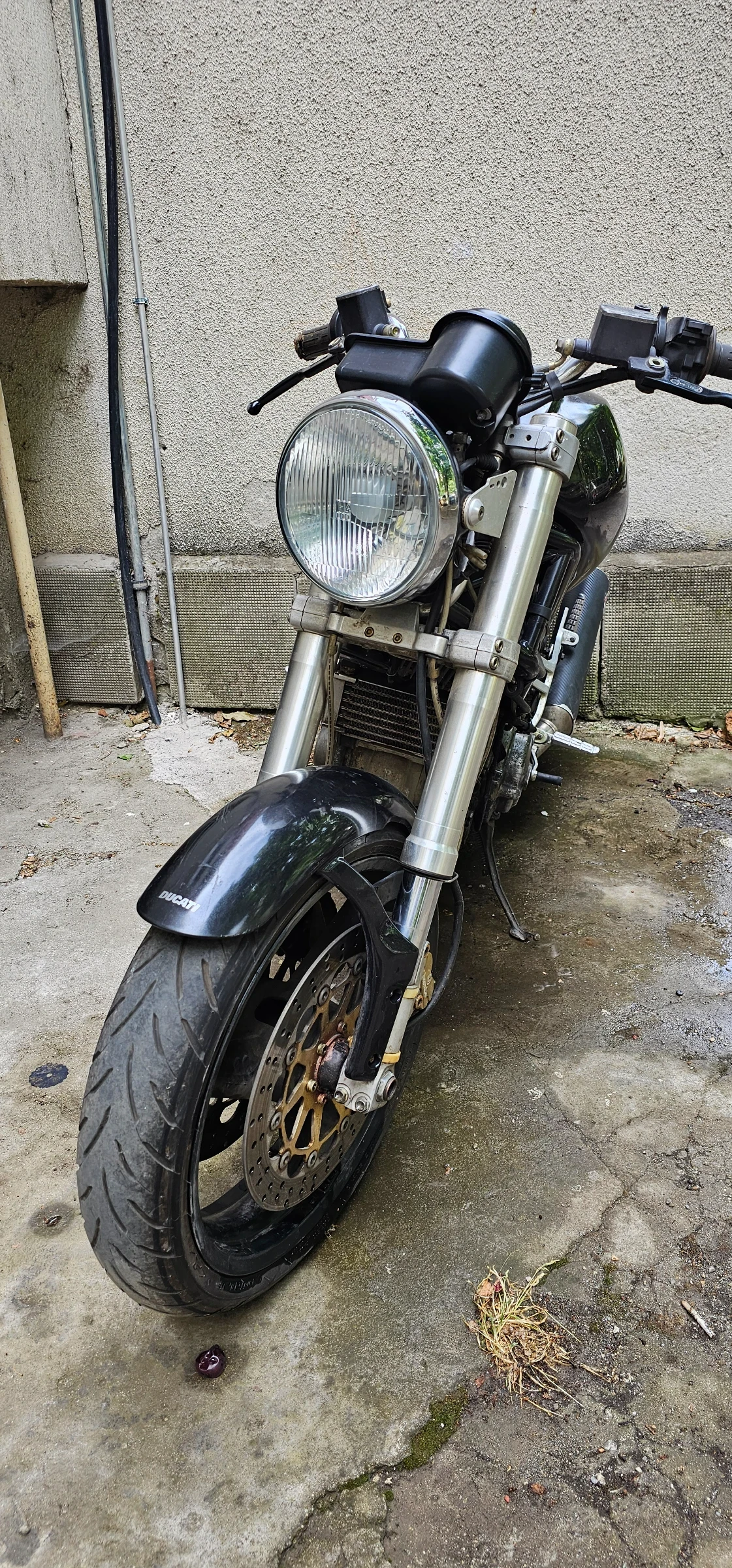 Ducati 750 Dark Monster 750 - изображение 8