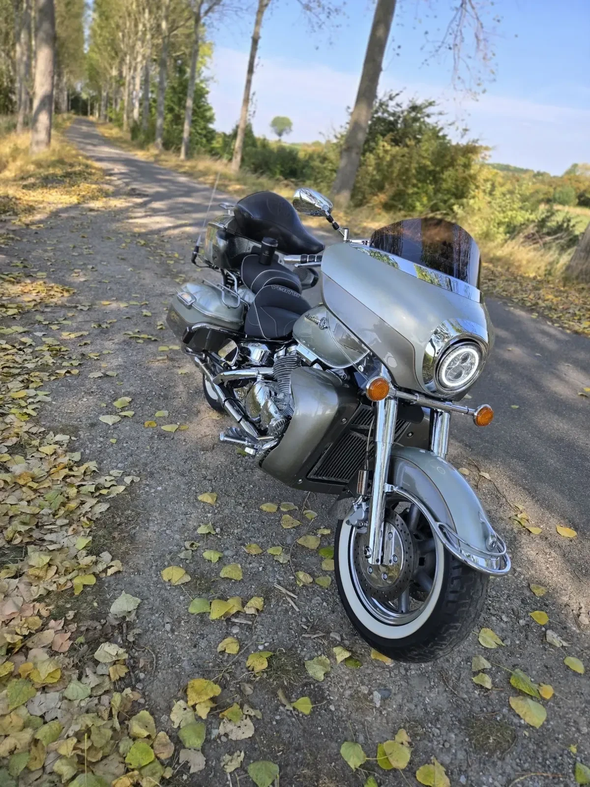 Yamaha Royal Star XVZ1300TF - изображение 2