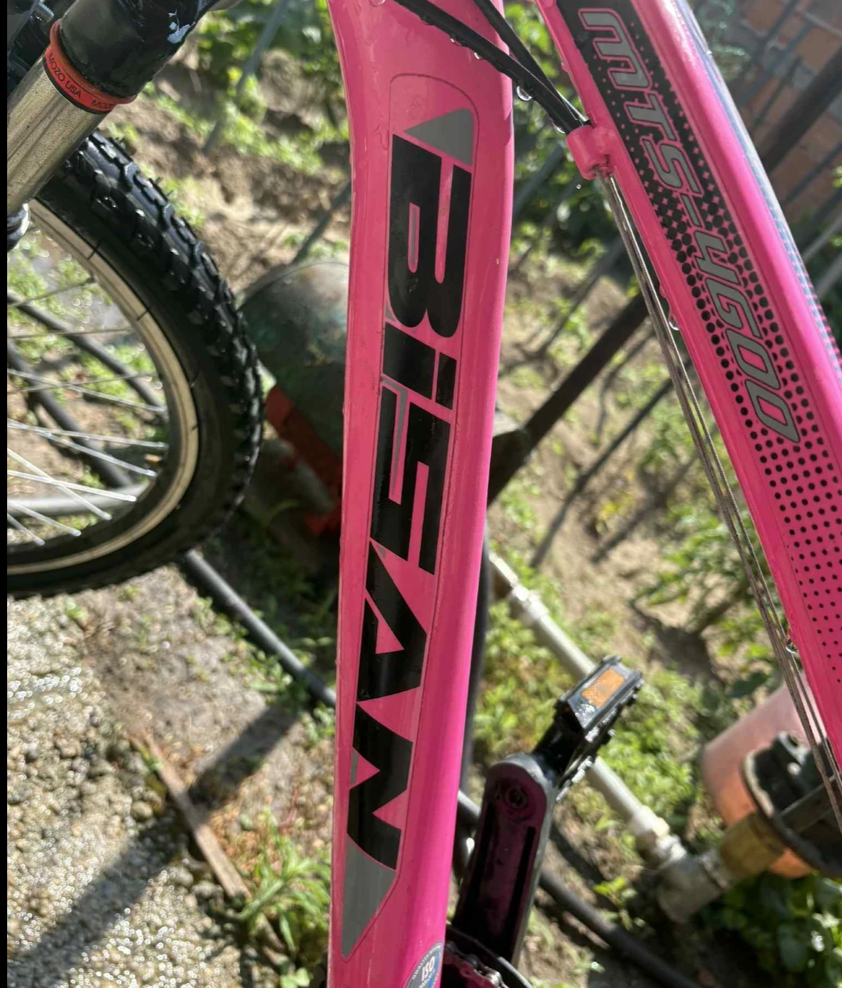 ������� Bisan | Mobile.bg � ����������� 5