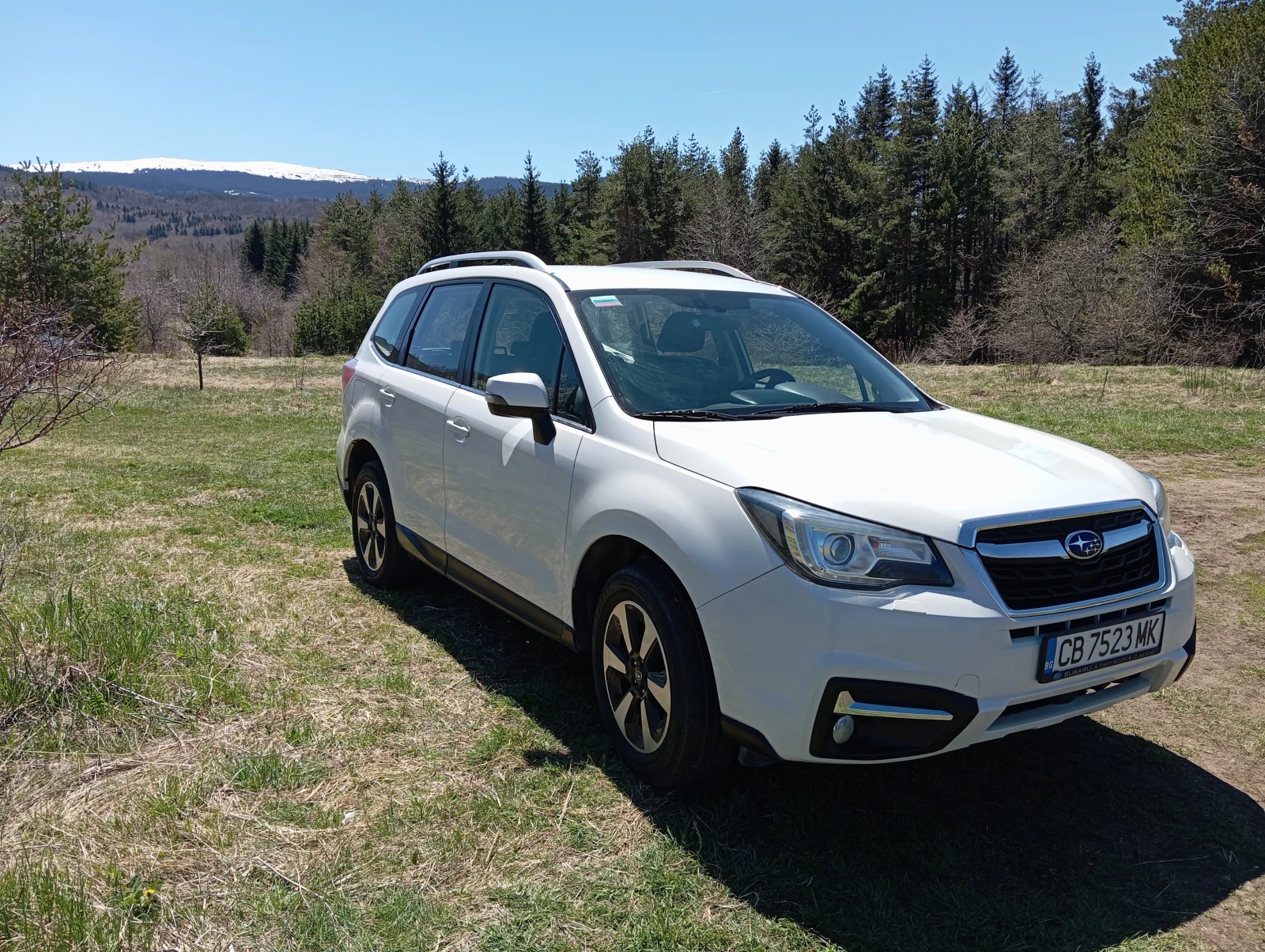 Subaru Forester, снимка 7 - Автомобили и джипове - 54346874