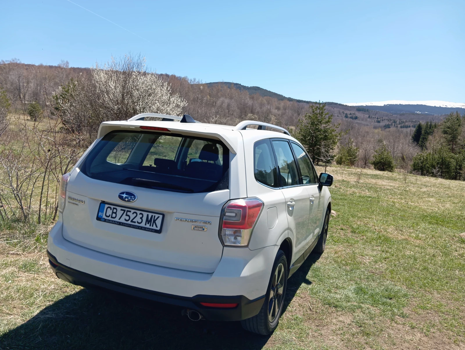 Subaru Forester, снимка 8 - Автомобили и джипове - 54346874