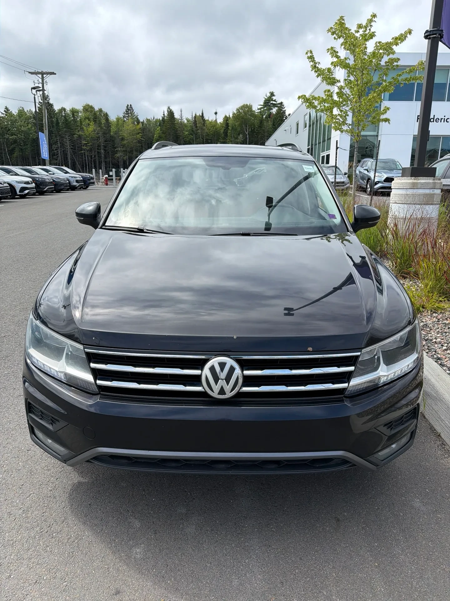 VW Tiguan Comfortline * CARFAX* ����� �� �����������*  | Mobile.bg � ����������� 2