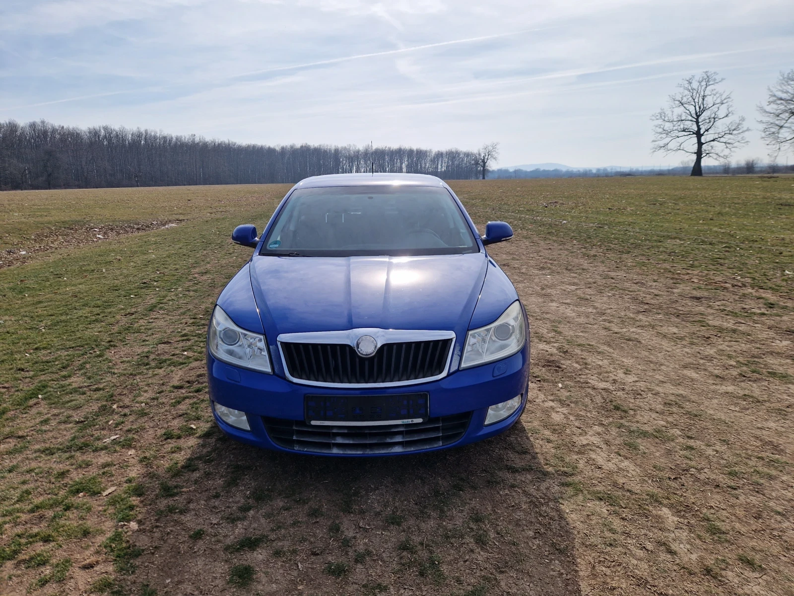 Skoda Octavia | Mobile.bg   13