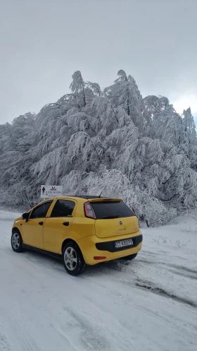 Fiat Punto 1.4 gas | Mobile.bg    4