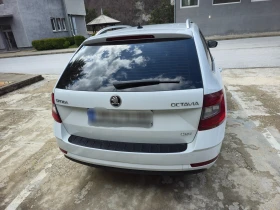 Skoda Octavia - 11900 € / 23274.38 лв. - 41584927 4
