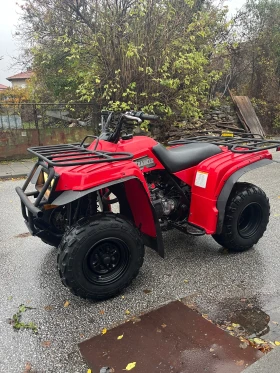 Yamaha Big Bear Yamaha Bear Tracker  250/2x4, снимка 3