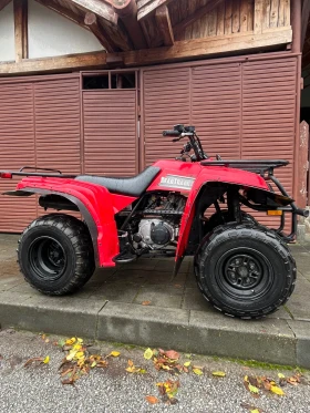 Yamaha Big Bear Yamaha Bear Tracker  250/2x4, снимка 1