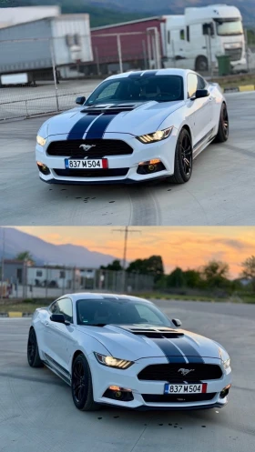 Ford Mustang 3.7 50 years Anniversary 157 хил км , снимка 5