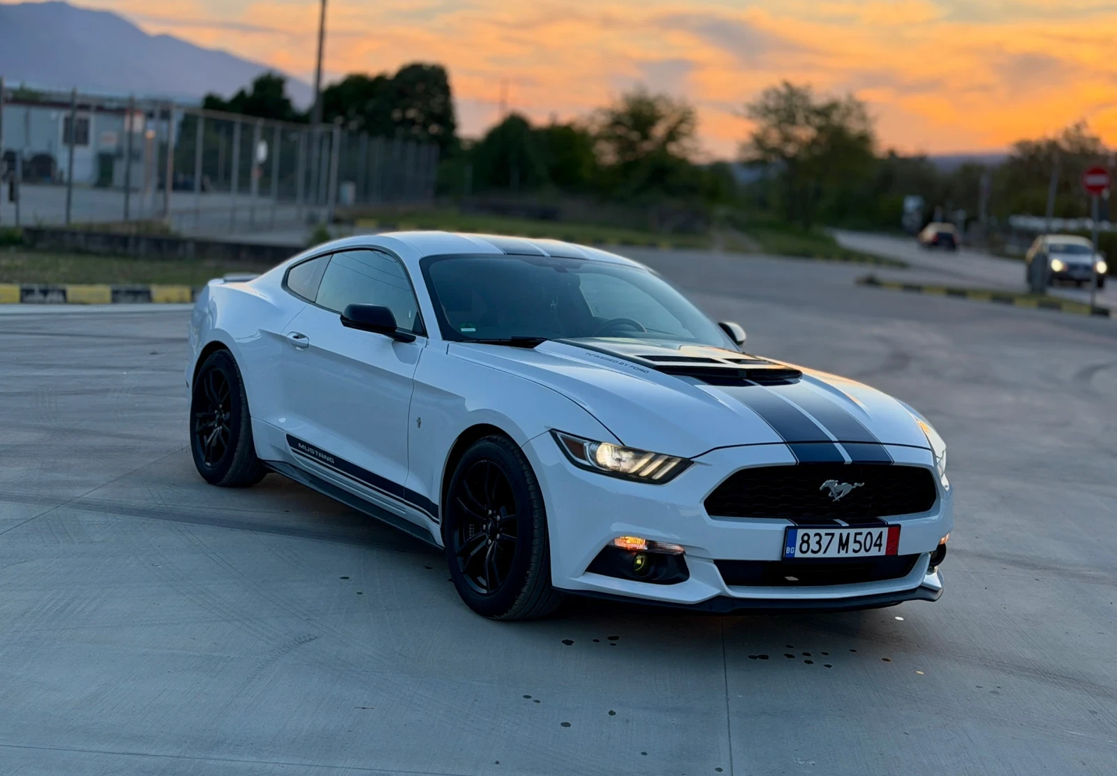 Ford Mustang 3.7 50 years Anniversary 157 хил км 