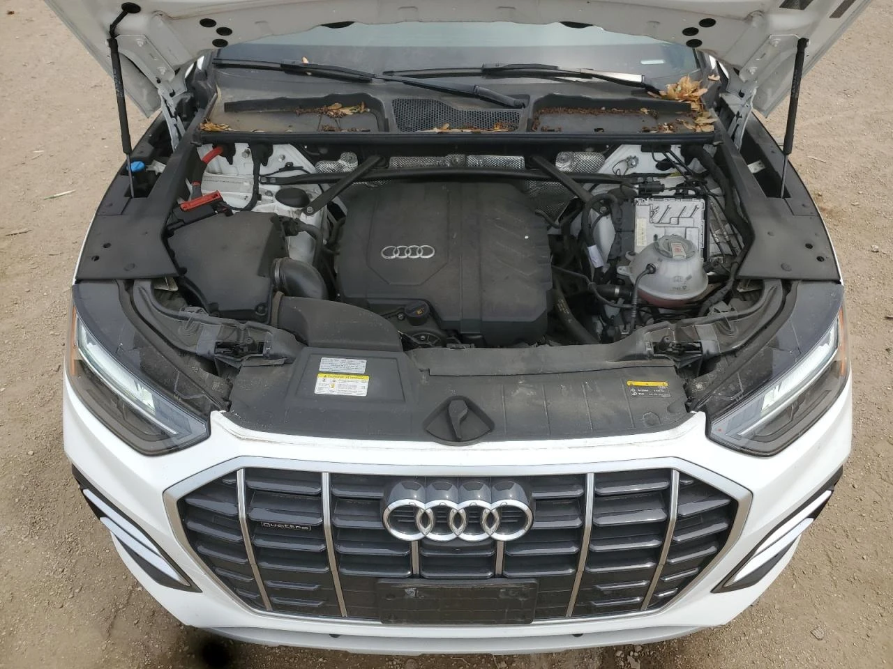 Audi Q5 Premium Plus - изображение 10