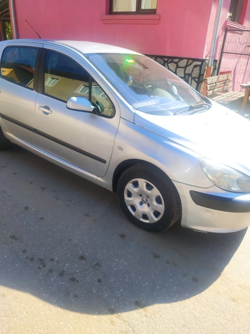 Peugeot 307, снимка 2 - Автомобили и джипове - 47094270