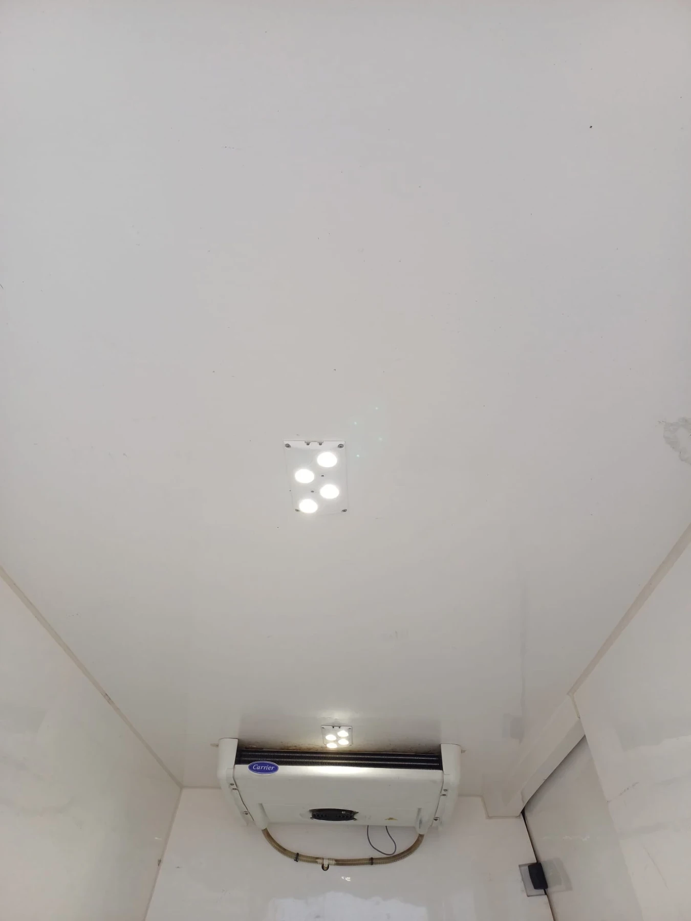 VW Crafter Хладилен, снимка 14 - Бусове и автобуси - 53930203