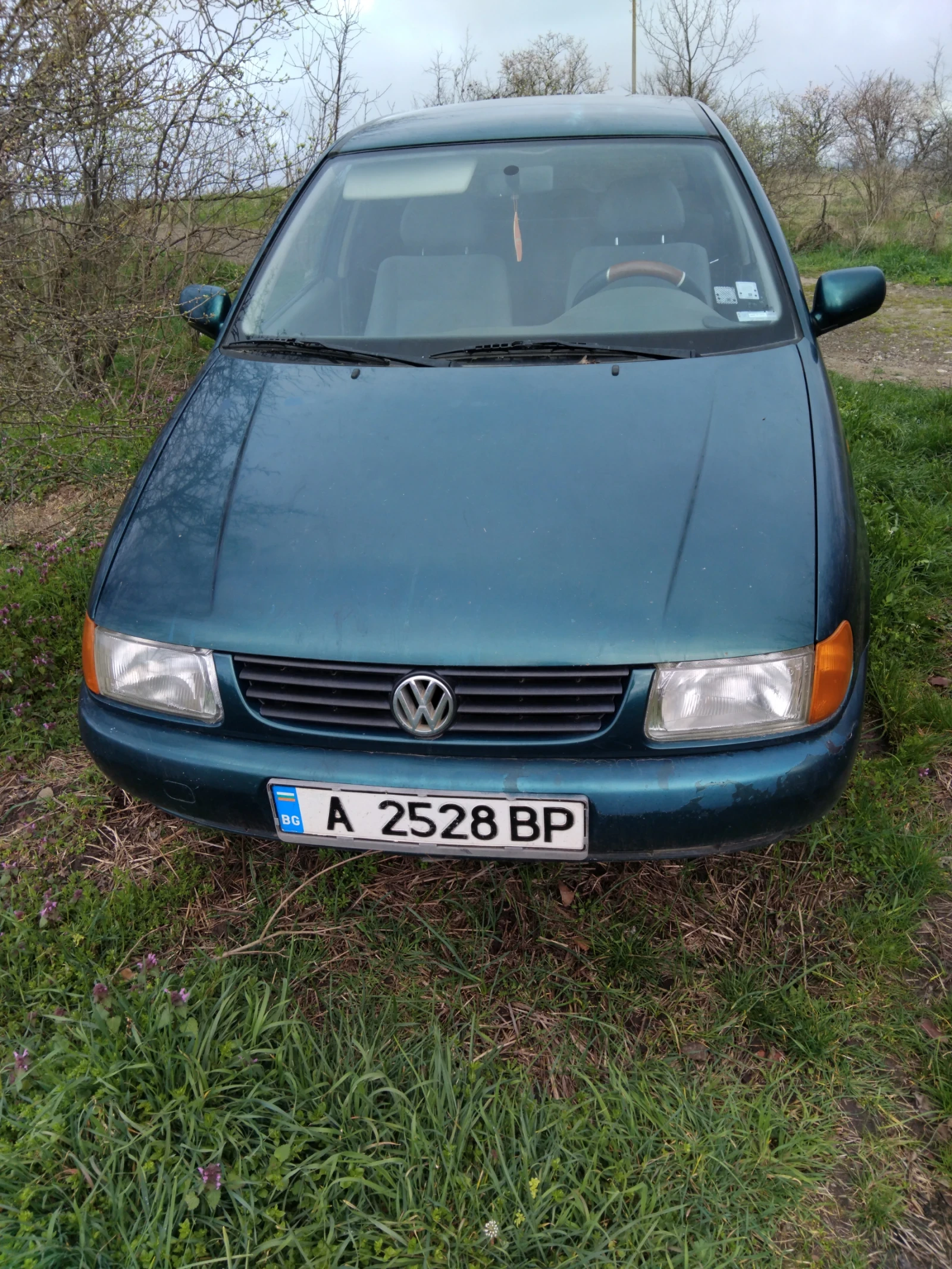 VW Polo