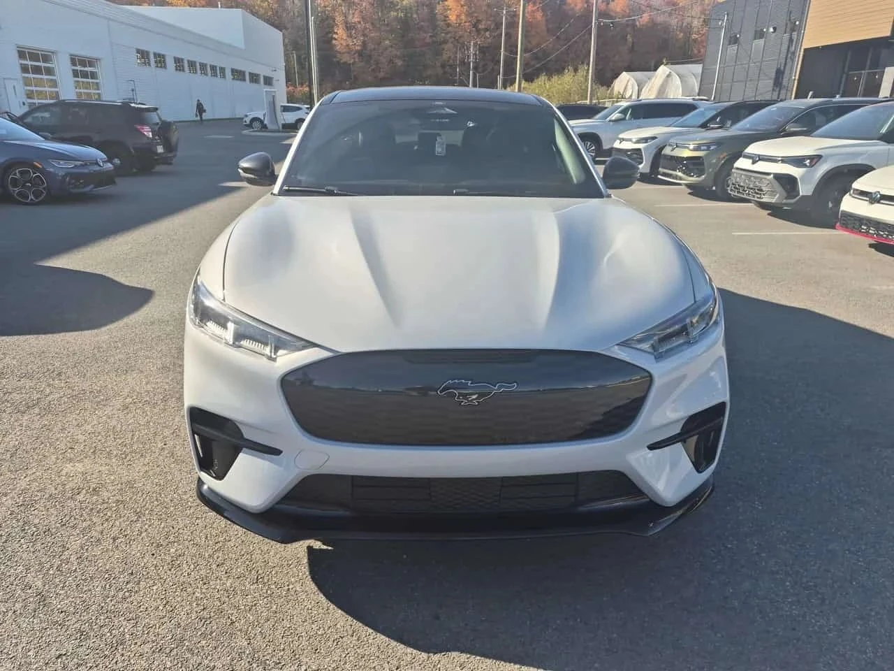 Ford Mustang Mach-E, снимка 3 - Автомобили и джипове - 56685466