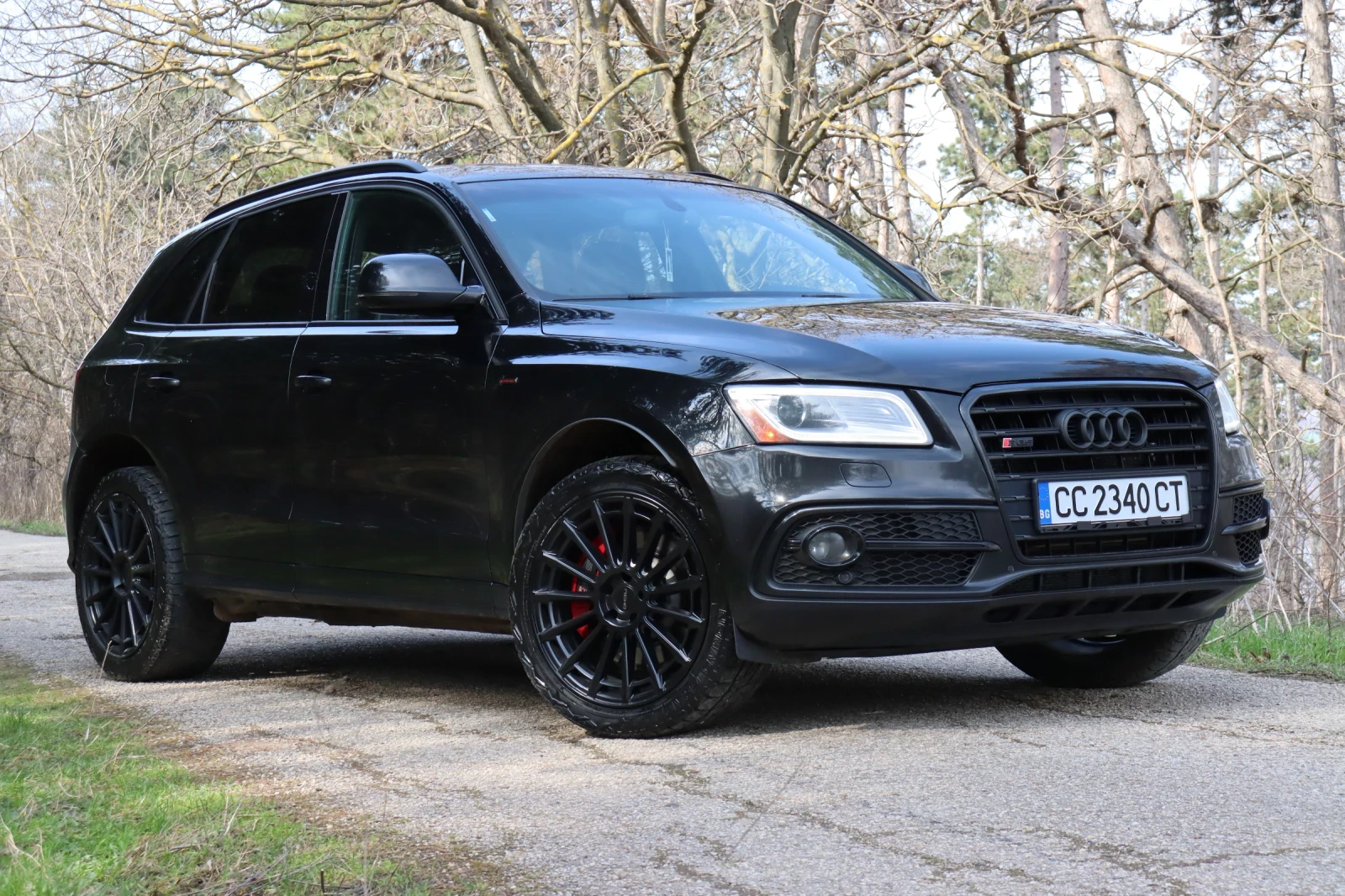 Audi SQ5 3.0 TFSI, снимка 3 - Автомобили и джипове - 53987154