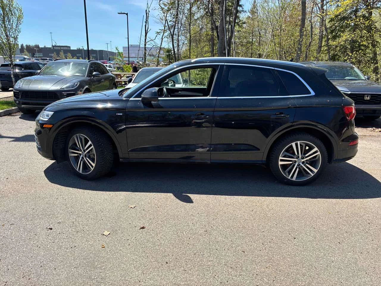 Audi Q5 Progressiv/ПОДГРЕВИ/ПАНОРАМА/ВТОРИ ГУМИ, снимка 3 - Автомобили и джипове - 54623324