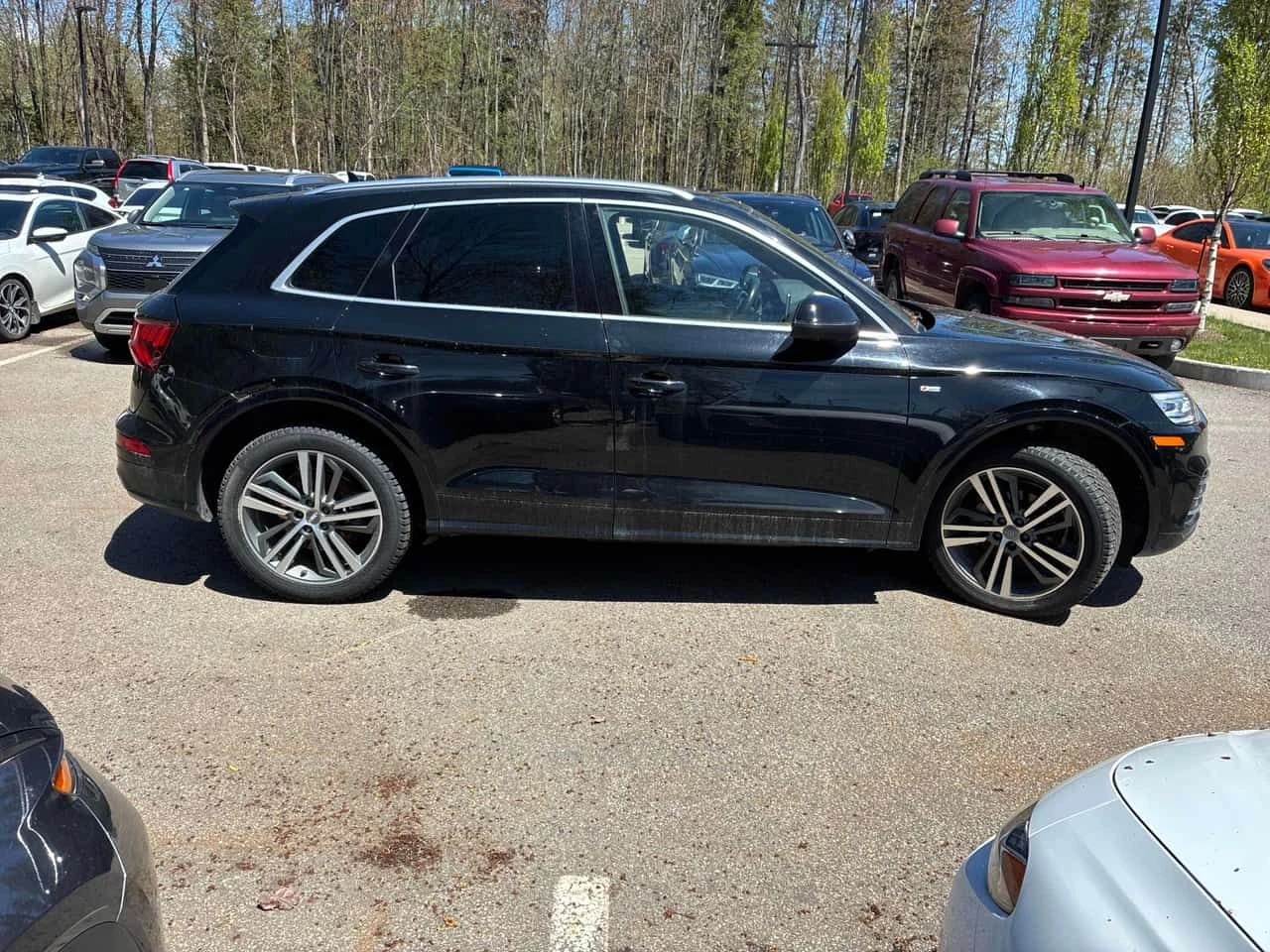 Audi Q5 Progressiv/ПОДГРЕВИ/ПАНОРАМА/ВТОРИ ГУМИ, снимка 4 - Автомобили и джипове - 54623324