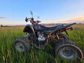Shineray XY | Mobile.bg � ����� ������ 3
