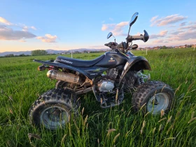 Shineray XY | Mobile.bg � ����� ������ 2