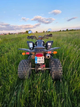 Shineray XY | Mobile.bg � ����� ������ 4