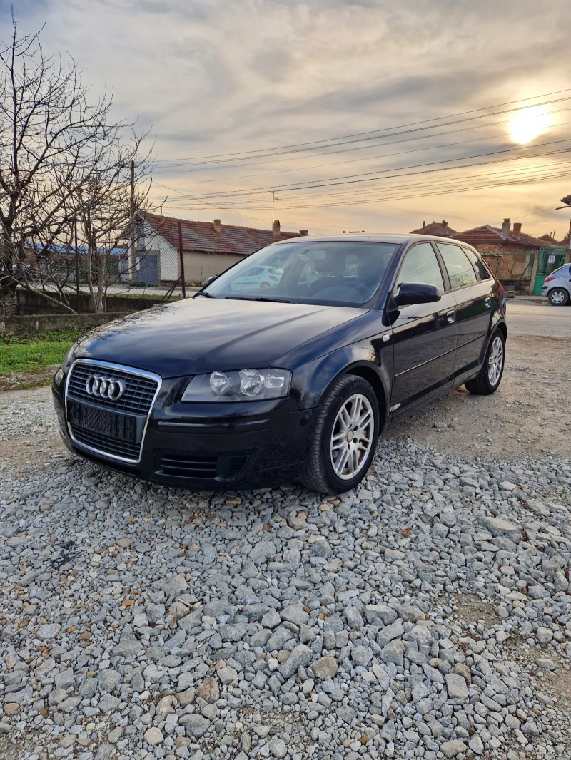 Audi A3 1.9 TDI, снимка 1 - Автомобили и джипове - 47979865