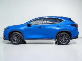Lexus NX 350h 4х4 Hybrid Executive ГАРАНЦИЯ!, снимка 7