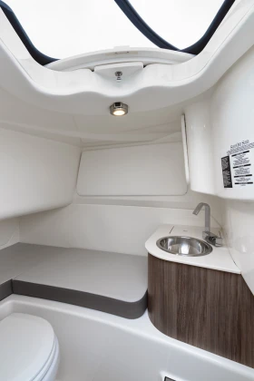 Моторна яхта Sea Ray SDX270, снимка 9
