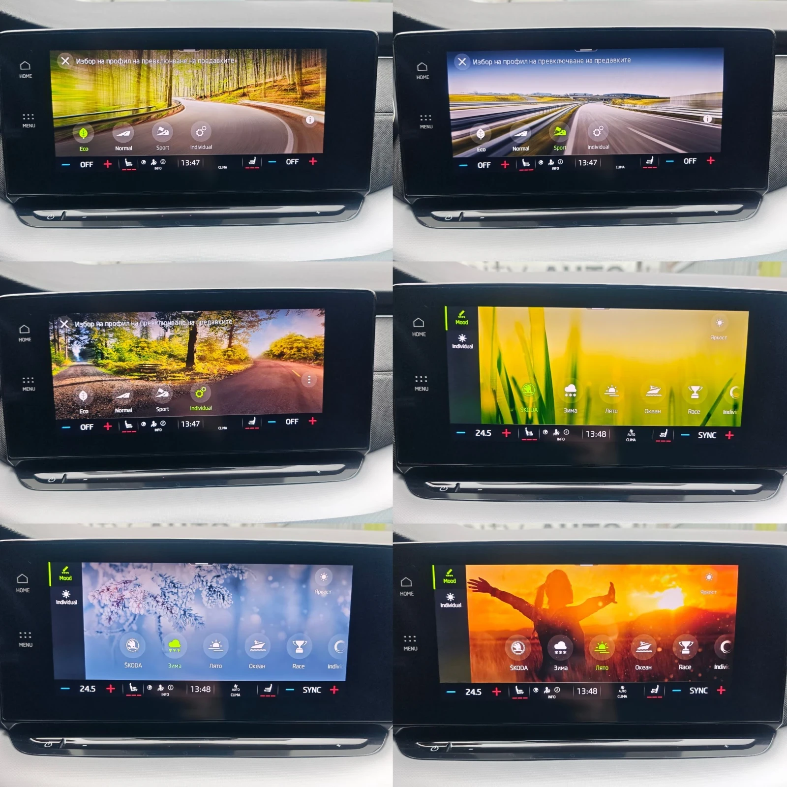 Skoda Octavia ДИСТРОНИК, АМБИЕНТ, ПАМЕТ, ПОДГРЕВ, КАМЕРА, ФУЛ!, снимка 11 - Автомобили и джипове - 53951316