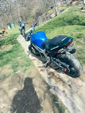 Suzuki SV, снимка 2