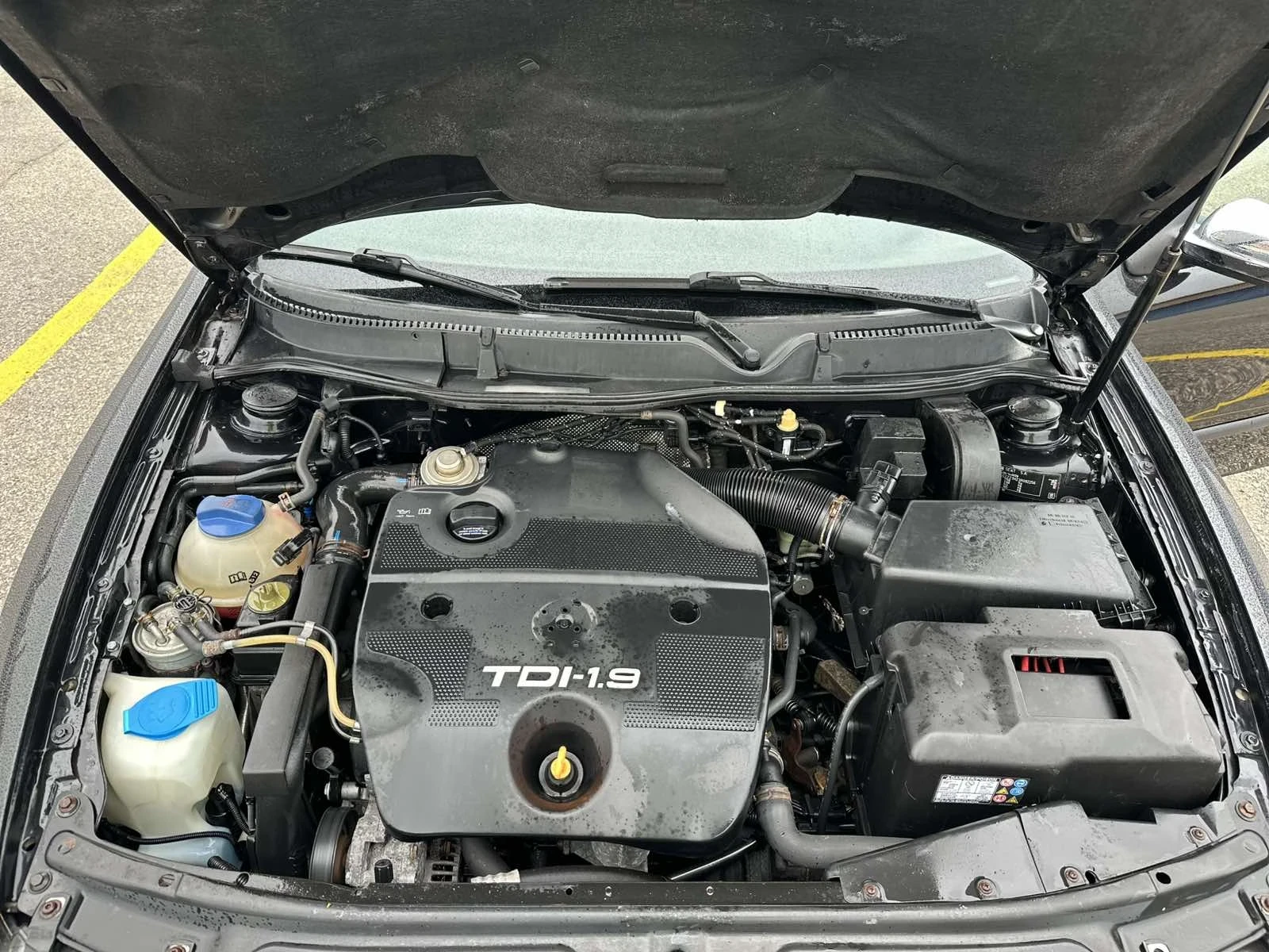 Seat Leon, снимка 11 - Автомобили и джипове - 54086153