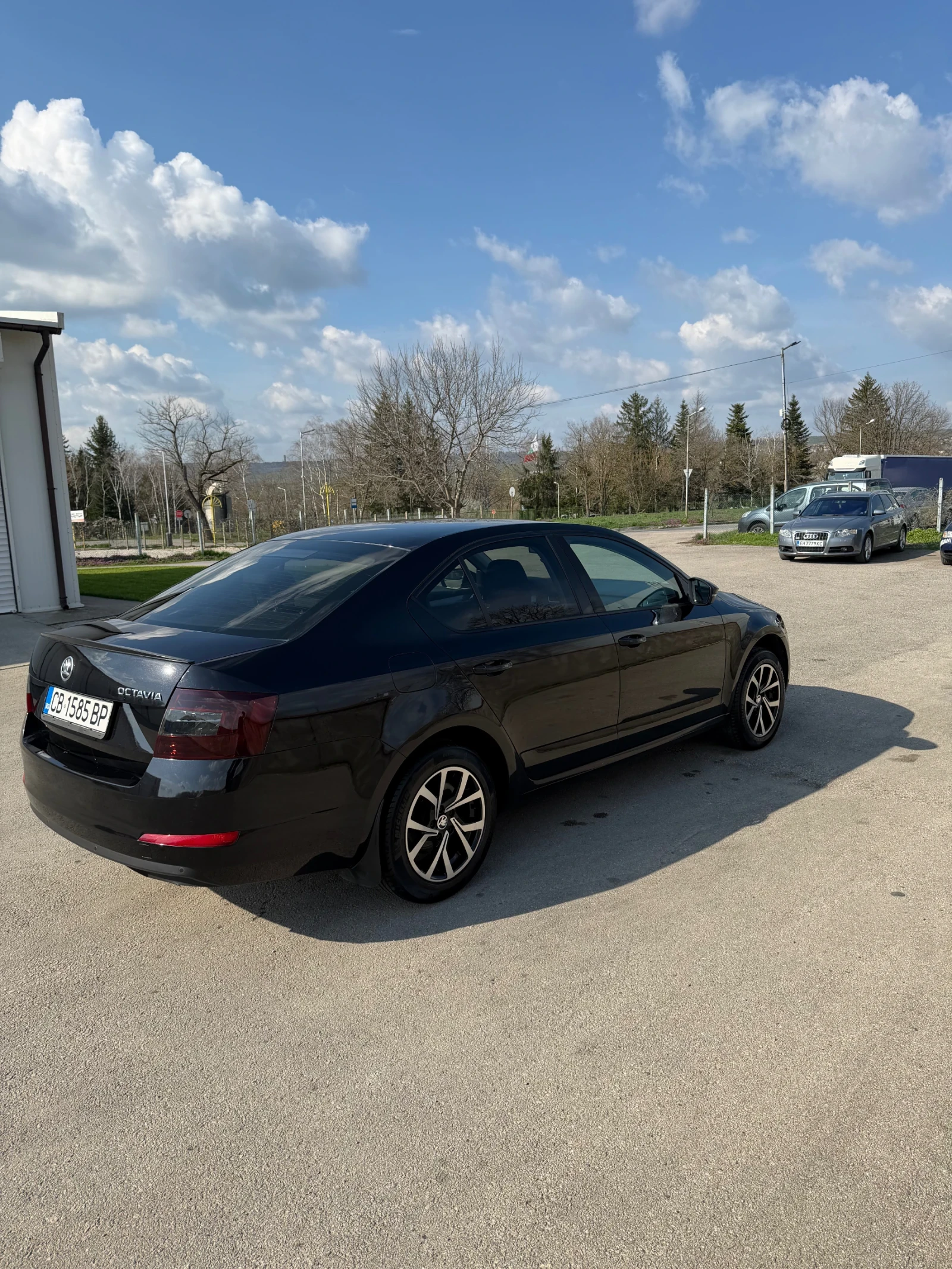 Skoda Octavia, снимка 7 - Автомобили и джипове - 56248780