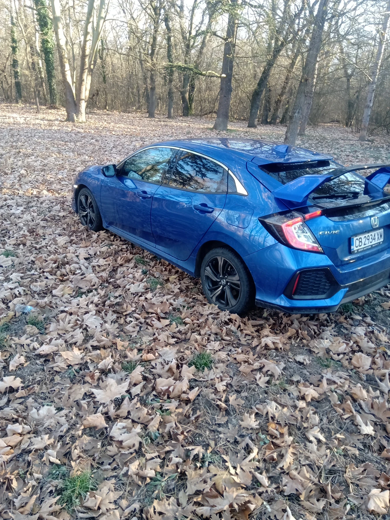 Honda Civic 1.6 IDTEC - изображение 4