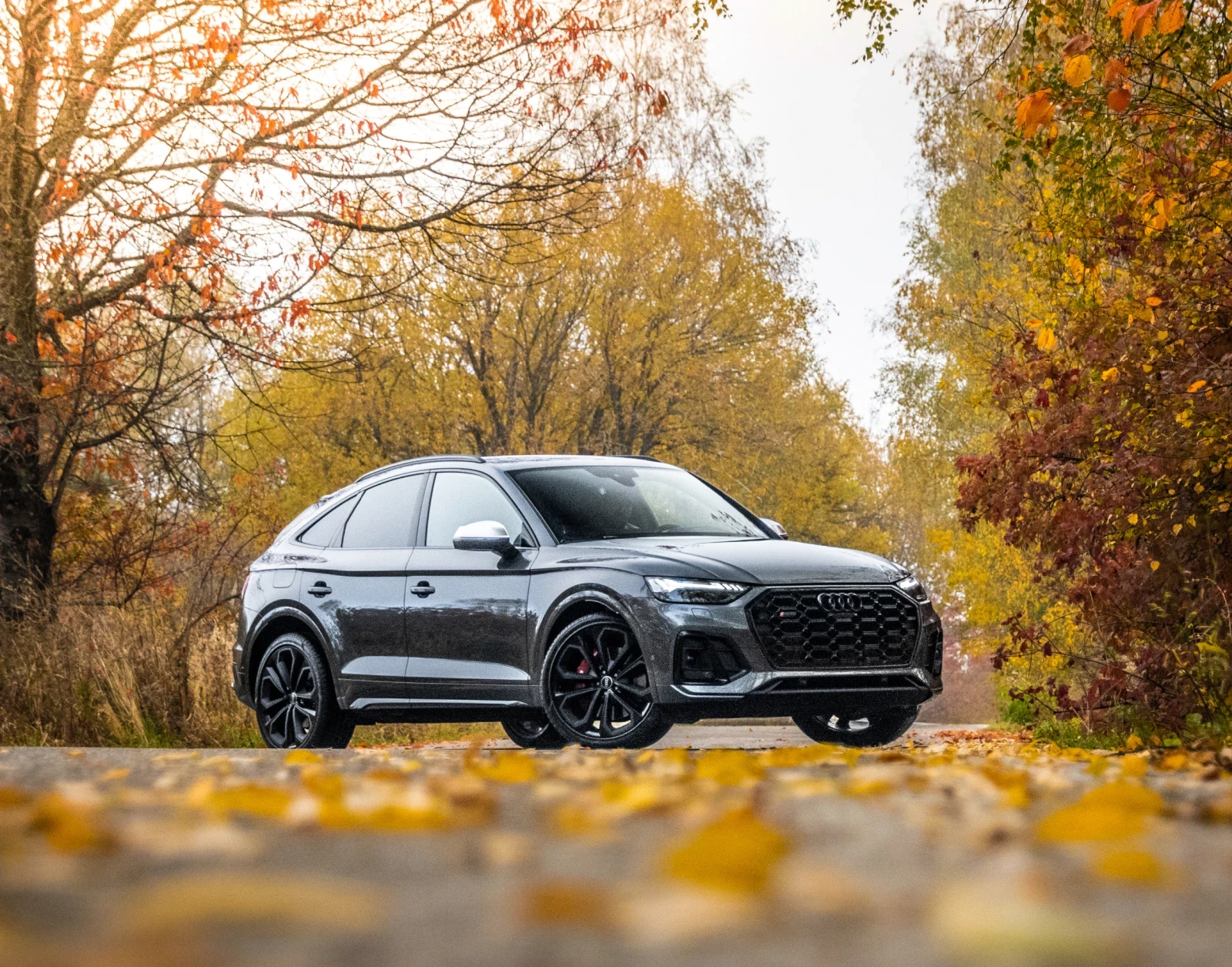 Audi SQ5, снимка 6 - Автомобили и джипове - 54626687