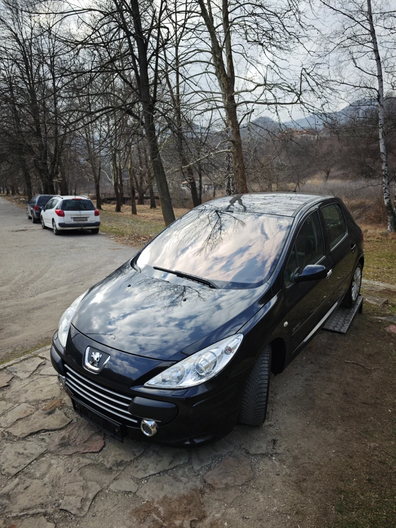 Peugeot 307 2.0HDI НОВИЯТ ФЕЙС, снимка 3 - Автомобили и джипове - 49273266