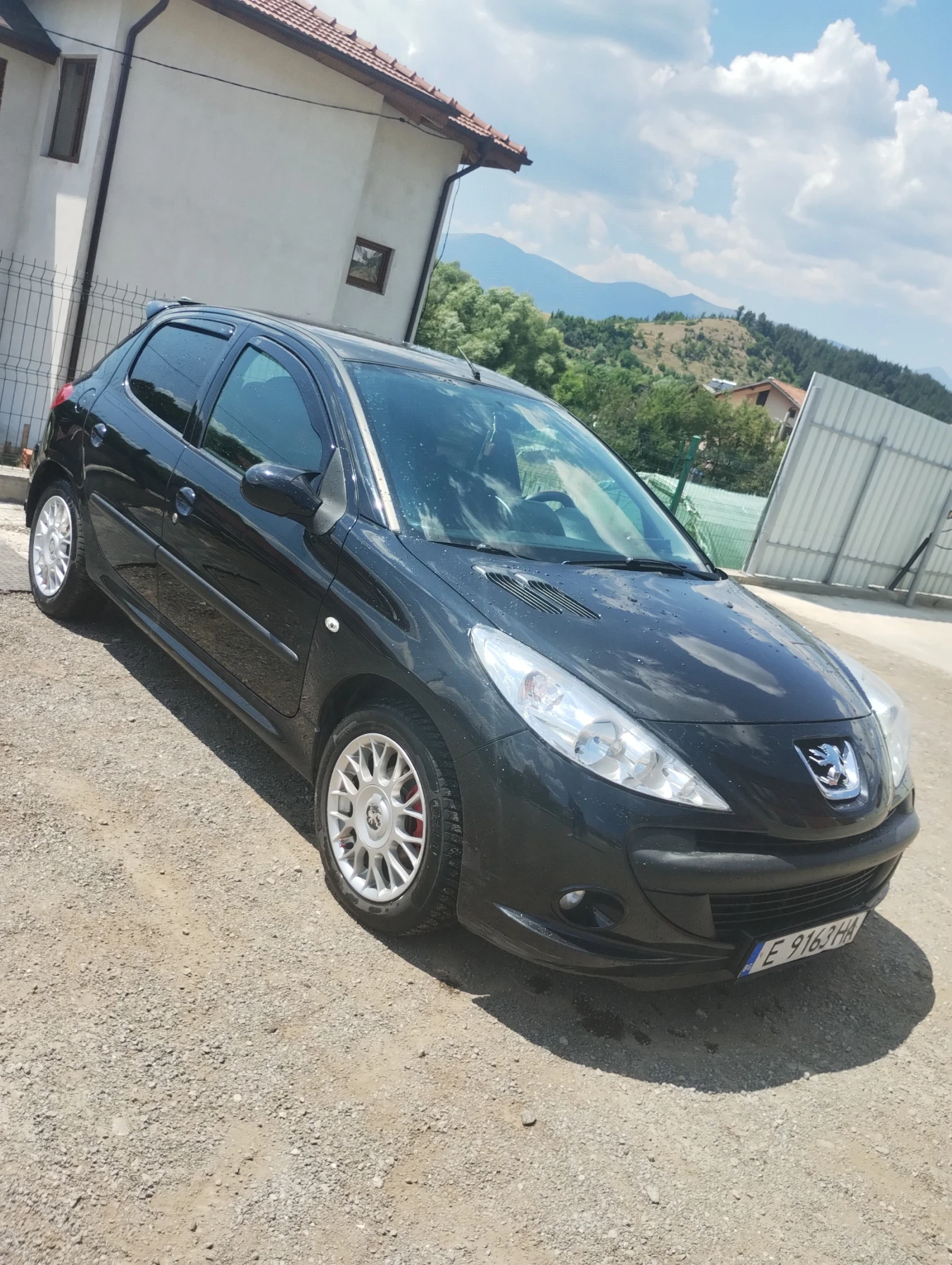 Peugeot 206  - изображение 2