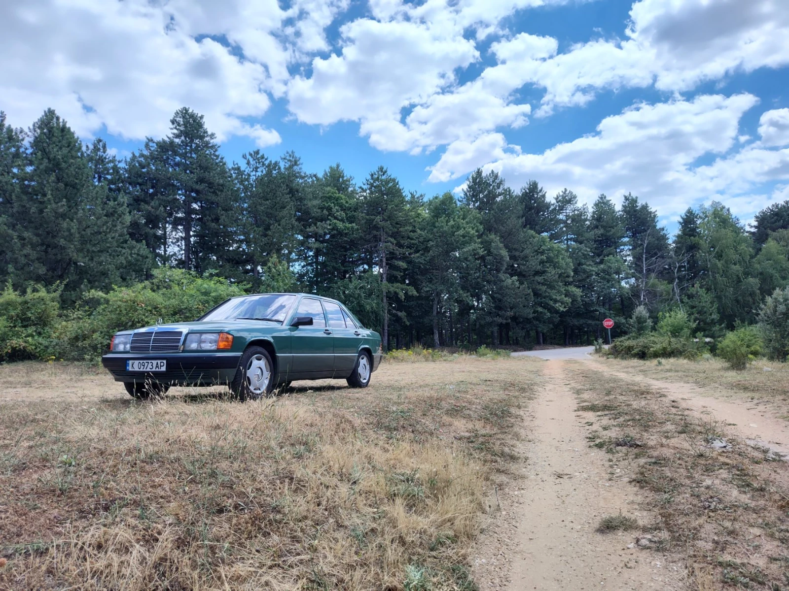 Mercedes-Benz 190 2.0 D - изображение 10
