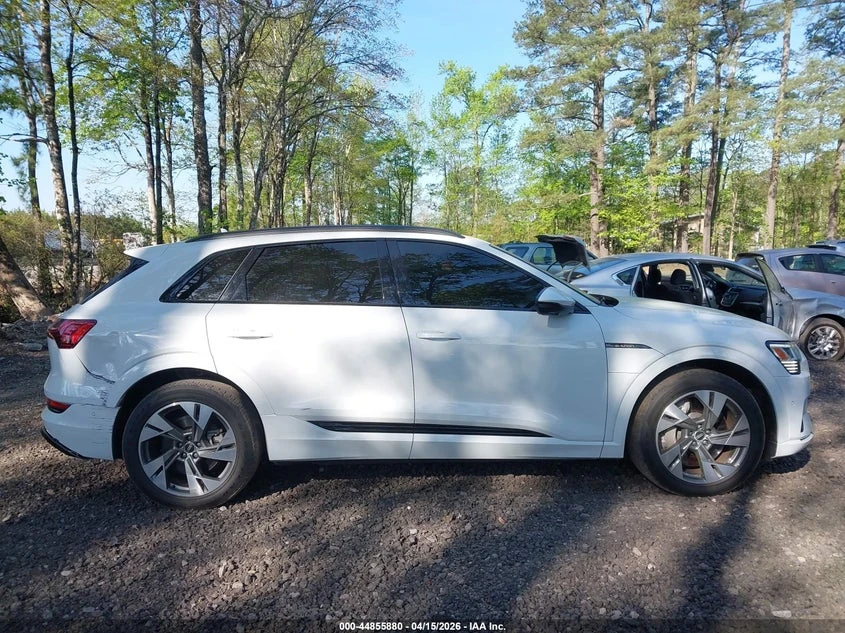Audi E-Tron Premium Quattro | Mobile.bg � ����������� 13