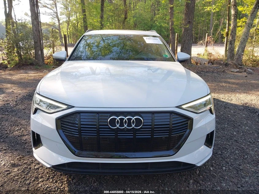 Audi E-Tron Premium Quattro | Mobile.bg � ����������� 12